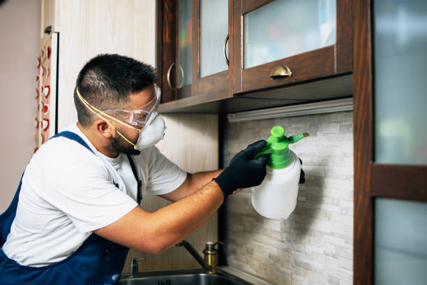 Trusted Norwood, NJ Pest Control Experts