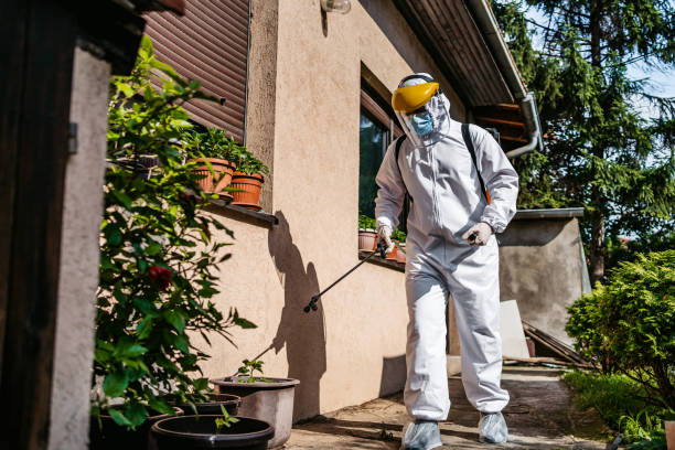 Best Insect Control  in Norwood, NJ