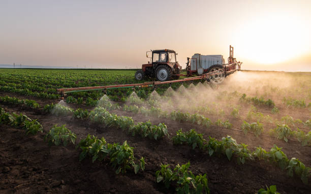 Best Commercial Pest Control Services  in Norwood, NJ