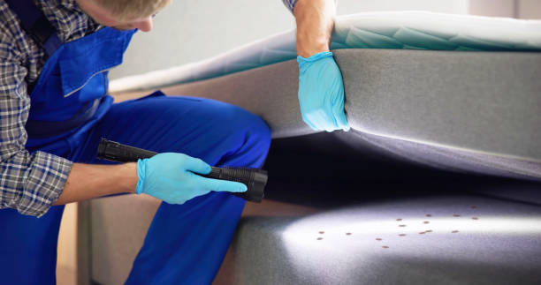 Best Pest Control for Homes  in Norwood, NJ