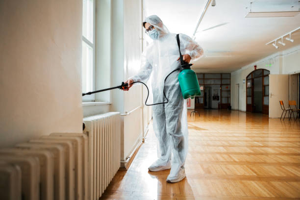 Best Wasp Removal Services  in Norwood, NJ