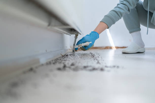 Best Mosquito Control Services  in Norwood, NJ