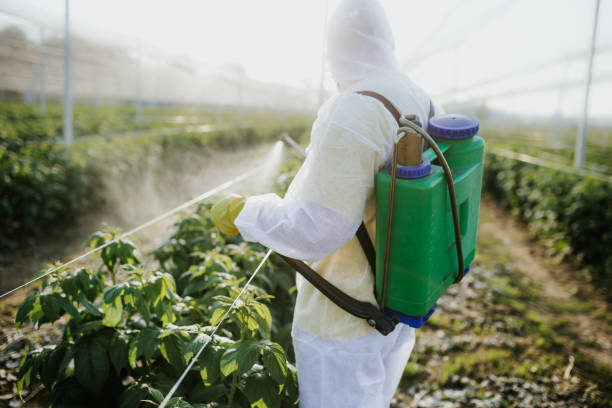 Best Ant Control Services  in Norwood, NJ